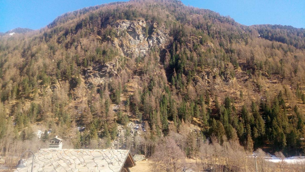 Nido Apartman Champoluc Kültér fotó